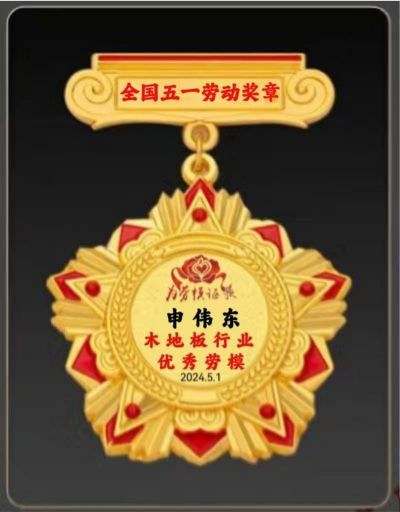 木地板優(yōu)秀行業(yè)優(yōu)秀勞?！陚|